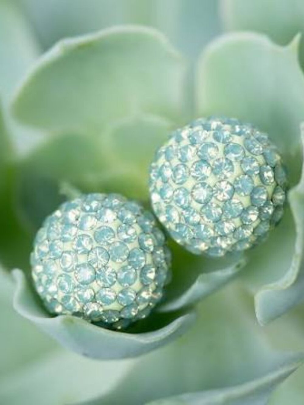 Hillberg & Berk 8mm Succulent Sparkle Ball Earrings